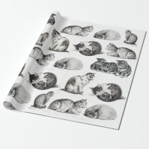 Vintage Katzen-Sketch  Geschenkpapier