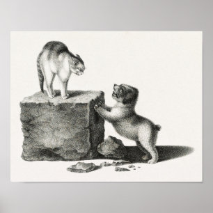 Vintage Katzen- und Jungtier-Illustration Poster