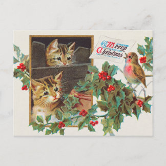 Vintage Katzen und Vogelurlaub Postkarte