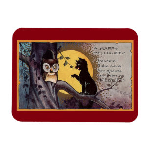 Vintage Katzenart und Eule Magnet