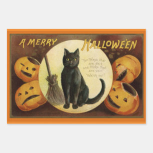 Vintage Katzenkatze zu Halloween und Kürbiskröten  Geschenkpapier Set