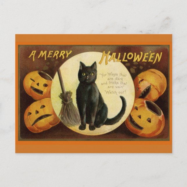Vintage Katzenkatze zu Halloween und Kürbiskröten Postkarte (Vorderseite)