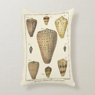 Vintage Kegel-Muscheln Dekokissen