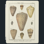 Vintage Kegel-Muscheln iPad Hülle<br><div class="desc">Künstler Denis Diderot ist begabt und für seine großen Seelebenbilder bekannt. In diesem klaren Bild nimmt er diese geknisterten Kegel Tritonshorn Seashells in ihrer natürlichsten Art gefangen. Tritonshörner werden häufig wie diese vier Seashells und in einem Sepia geknistert, der Ton schaut. Erhalten Sie Ihr Seashellprodukt heute und Sie können am...</div>