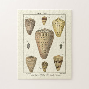 Vintage Kegelschnecken Puzzle