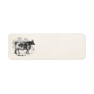 Vintage Kerry Cow Personalisiert Bull Illustration
