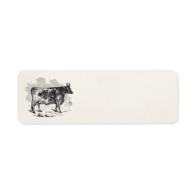 Vintage Kerry Cow Personalisiert Bull Illustration (Vorne)