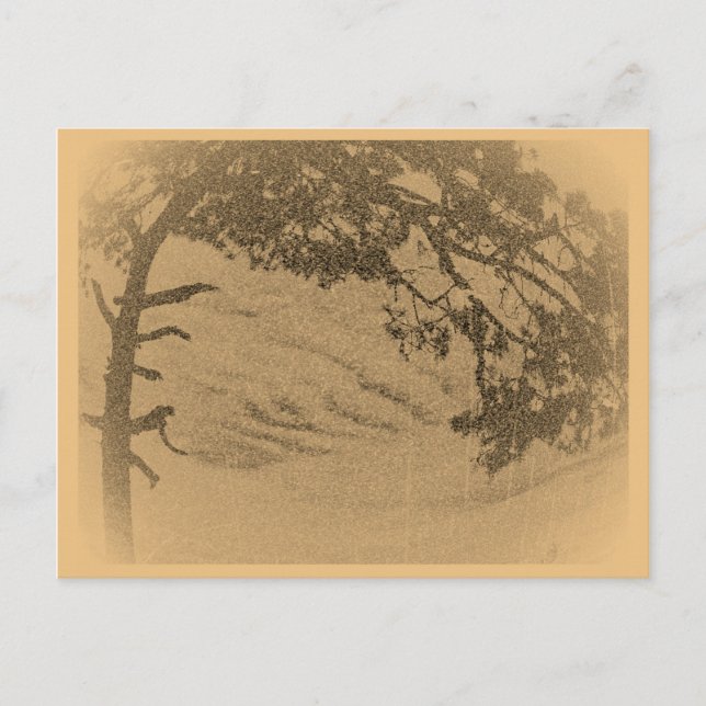 Vintage Kiefernbaum-Silhouette, Sonnenaufgang Postkarte (Vorderseite)