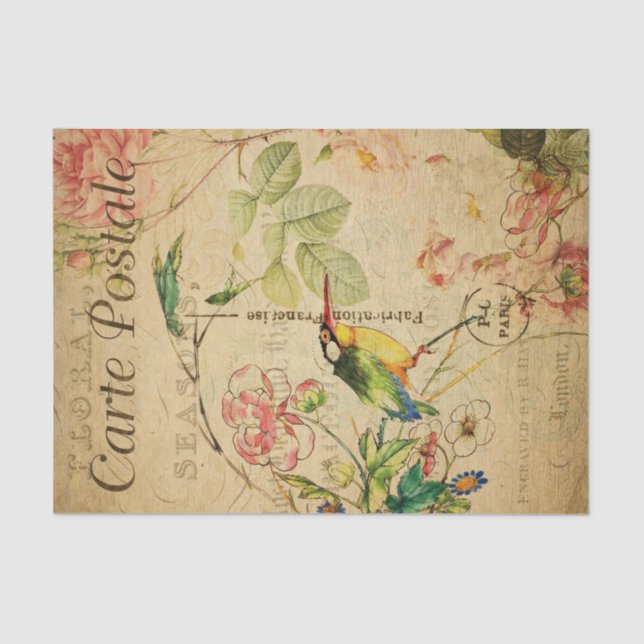 Vintage Kingfisher Bird Floral Blume Französisch Seidenpapier (Vorderseite)