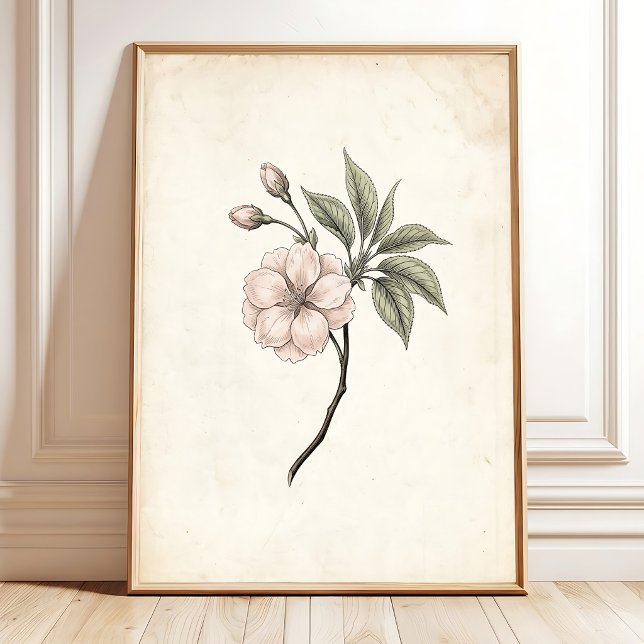 Vintage-Kirschblüten-Kunst im Rahmen Poster (Von Creator hochgeladen)