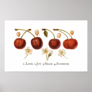 Vintage Kirschen Fruchtcotattcore Antiquitätenpost Poster