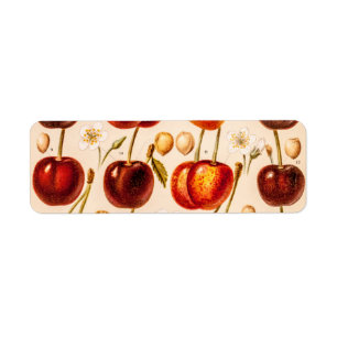 Vintage Kirschvielzahl-antike Kirschfrucht