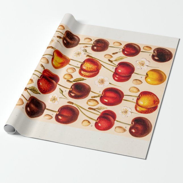 Vintage Kirschvielzahl-antike Kirschfrucht Geschenkpapier (Ungerollt)