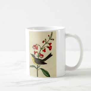 Vintage Kirtlands Grasmücke Vogel Tasse