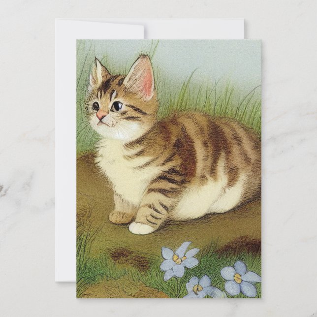 Vintage Kitten Illustration mit Blume Einladung (Vorderseite)