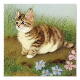 Vintage Kitten Illustration mit Blume Fotodruck