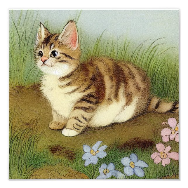Vintage Kitten Illustration mit Blume Fotodruck (Vorne)