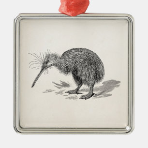 Vintage Kiwi-Vogel Antique Vögel Vorlage Silbernes Ornament