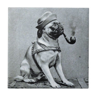 Vintage klassisches Mops-Fotograf Fliese