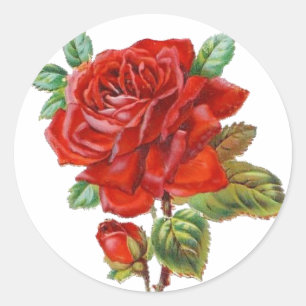 Vintage-Kleber Roter Rose Runder Aufkleber