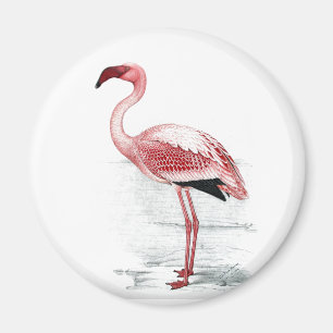 Vintage Kleiner Flamingo Claude Gibney Finch Davie Magnet