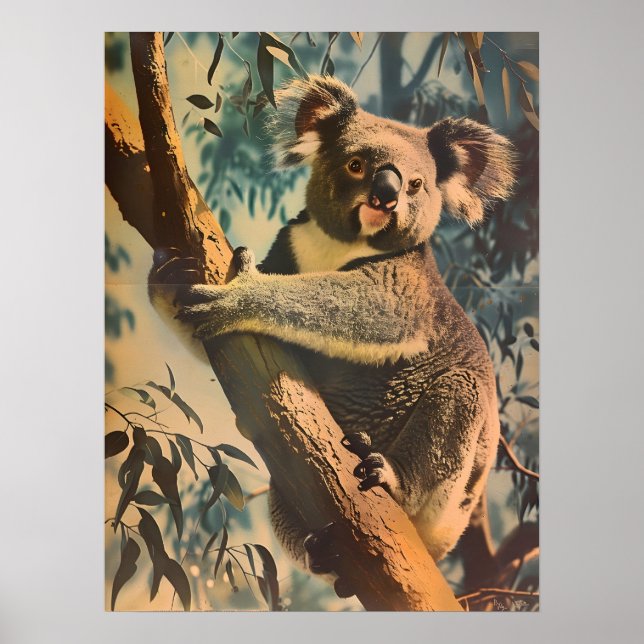 Vintage Koala Poster (Vorne)