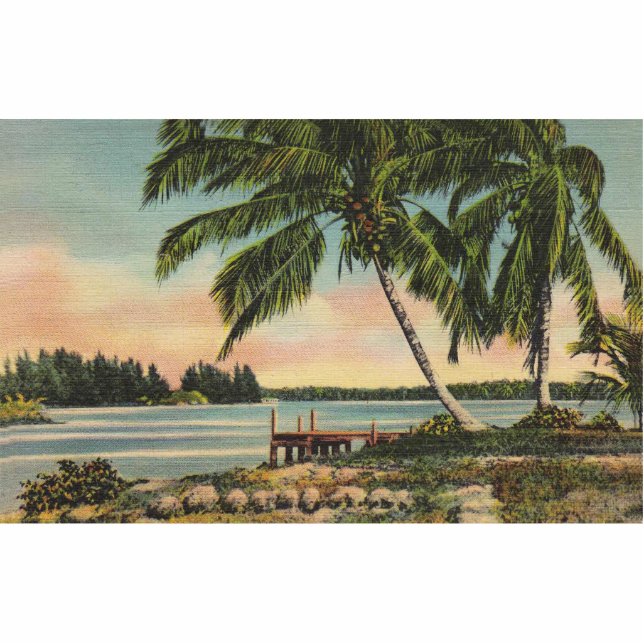 Vintage Kokospalmen Tropischer Sonnenuntergang Fotoskulptur Magnet (Vorne)