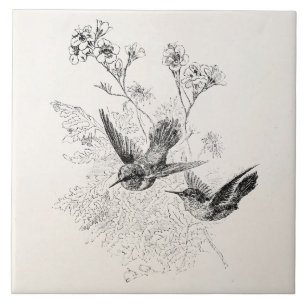 Vintage-Kolibri-Antik-Vögel-Schablone Fliese