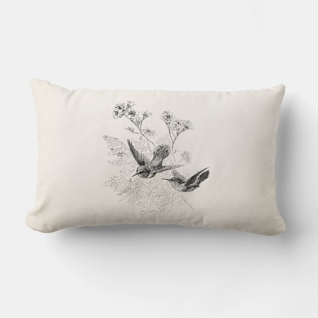 Vintage Kolibri-Antiken-Vogel-Schablone Lendenkissen (Vorderseite)