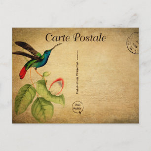 Vintage Kolibri Blumen Floral Französisch Postkarte