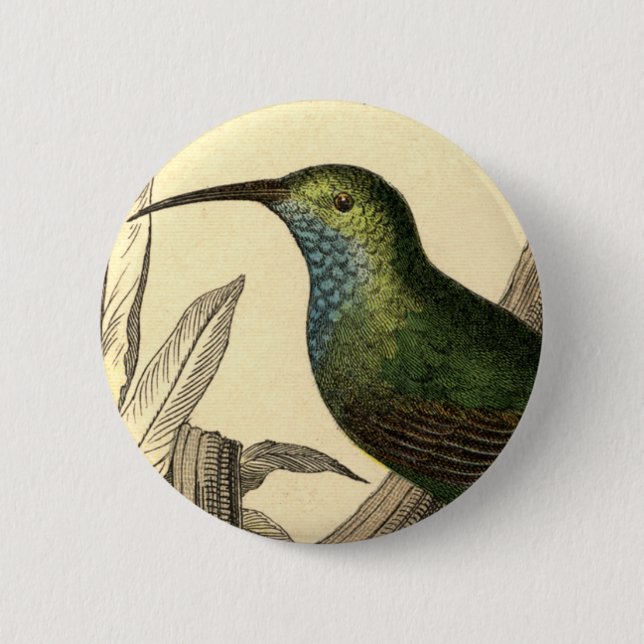 Vintage Kolibri-Button Button (Vorderseite)