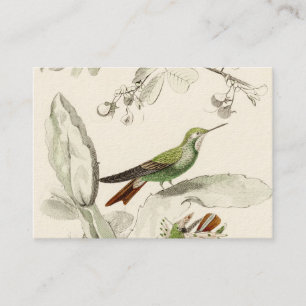 Vintage-Kolibri-Illustration - Vögel aus dem 19. J Visitenkarte