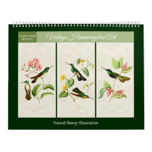 Vintage Kolibri-Kunst 2027 Kalender
