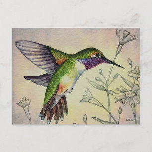 Vintage Kolibri Nr. 2 Aquarell-Kunst Postkarte