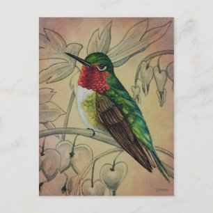 Vintage Kolibri Nr. 4 Aquarell-Kunst Postkarte