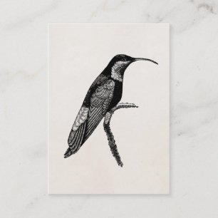 Vintage Kolibri-Vogel-Illustrations-Schablone Visitenkarte