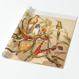 Vintage Kolibri Vogel Kolibris Vögel Vögel Geschenkpapier
