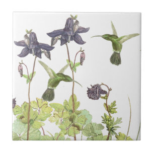 Vintage Kolibri Vögel Wildblumen Blumen Fliese