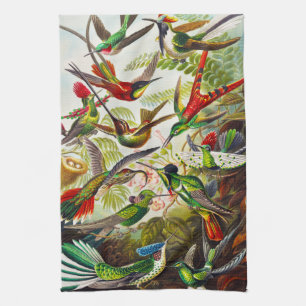 Vintage Kolibris von Ernst Haeckel Geschirrtuch