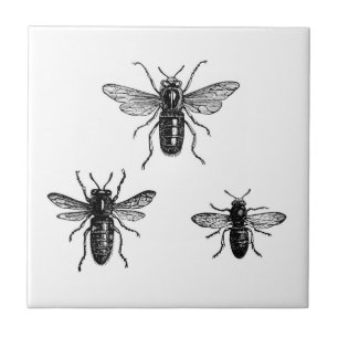 Vintage Königin Biene & arbeitende Bienen Illustra Fliese