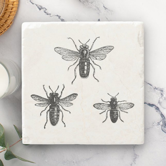 Vintage Königin-Biene u. Steinuntersetzer (Von Creator hochgeladen)