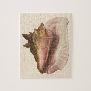 Vintage Königin Conch Muschel, Meerestier Puzzle