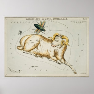 Vintage Konstellation Poster