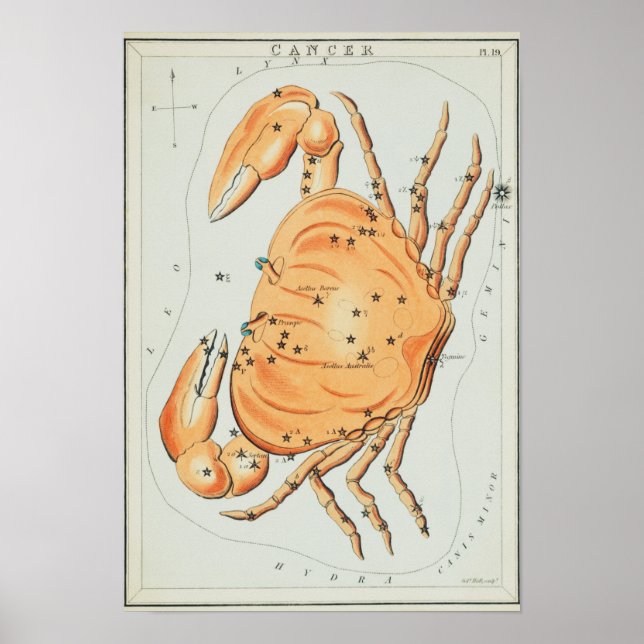 Vintage Konstellation Poster (Vorne)