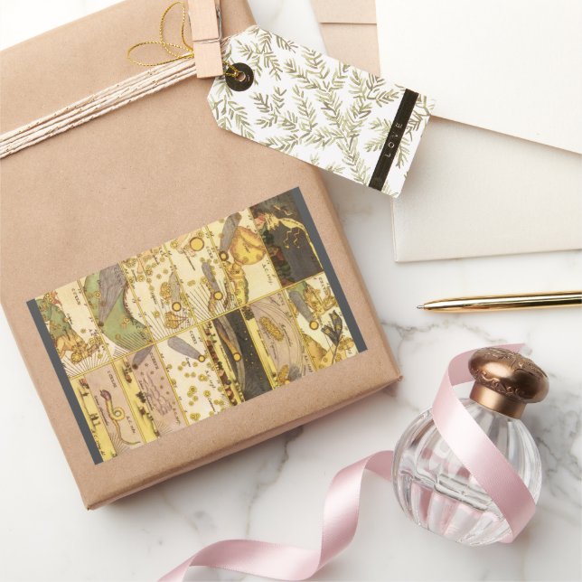 Vintage Konstellationen, antike Astronomie und Ste Rechteckiger Aufkleber (Schenken)