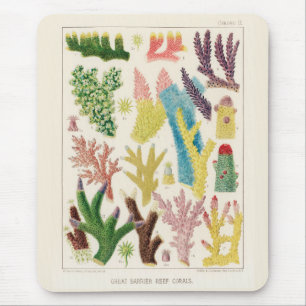 Vintage-Korallen des Great Barrier Reef in Austral Mousepad