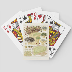 Vintage-Korallen des Great Barrier Reef in Austral Spielkarten