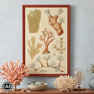 Vintage Korallentiere, Lehrbuch Biologie Poster