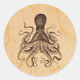 Vintage Kraken-Illustration im Braun Runder Aufkleber