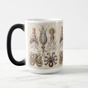 Vintage-Kraken-Tintenfisch-Kunst von Ernst Haeckel Verwandlungstasse